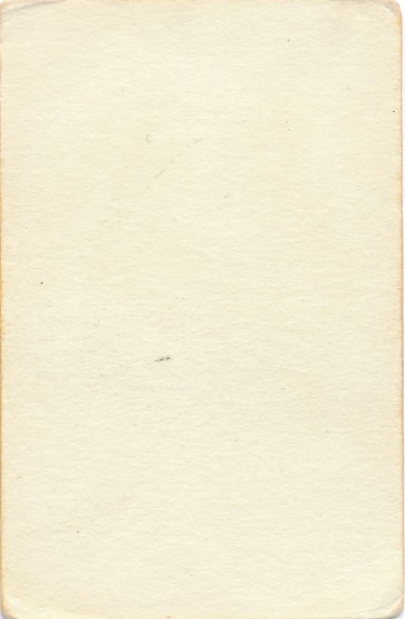 22 - kopia (3)